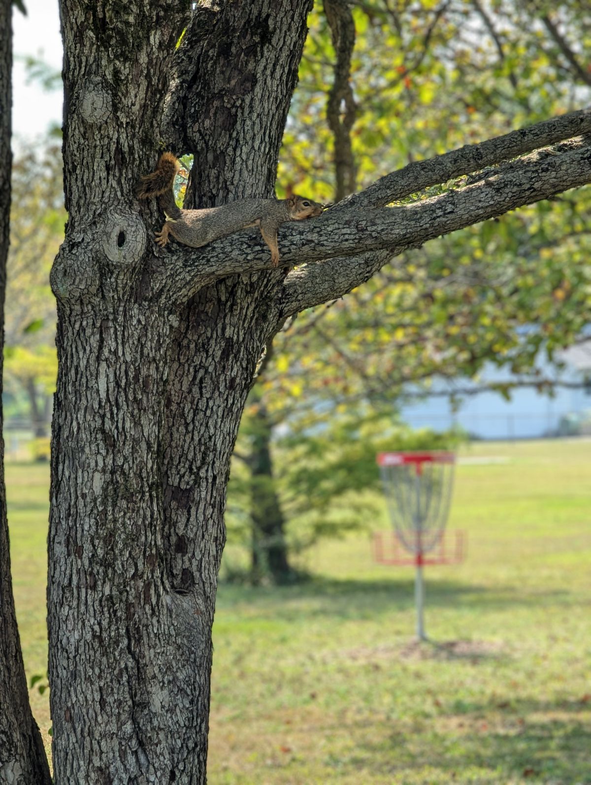 If you go too long on hole 12