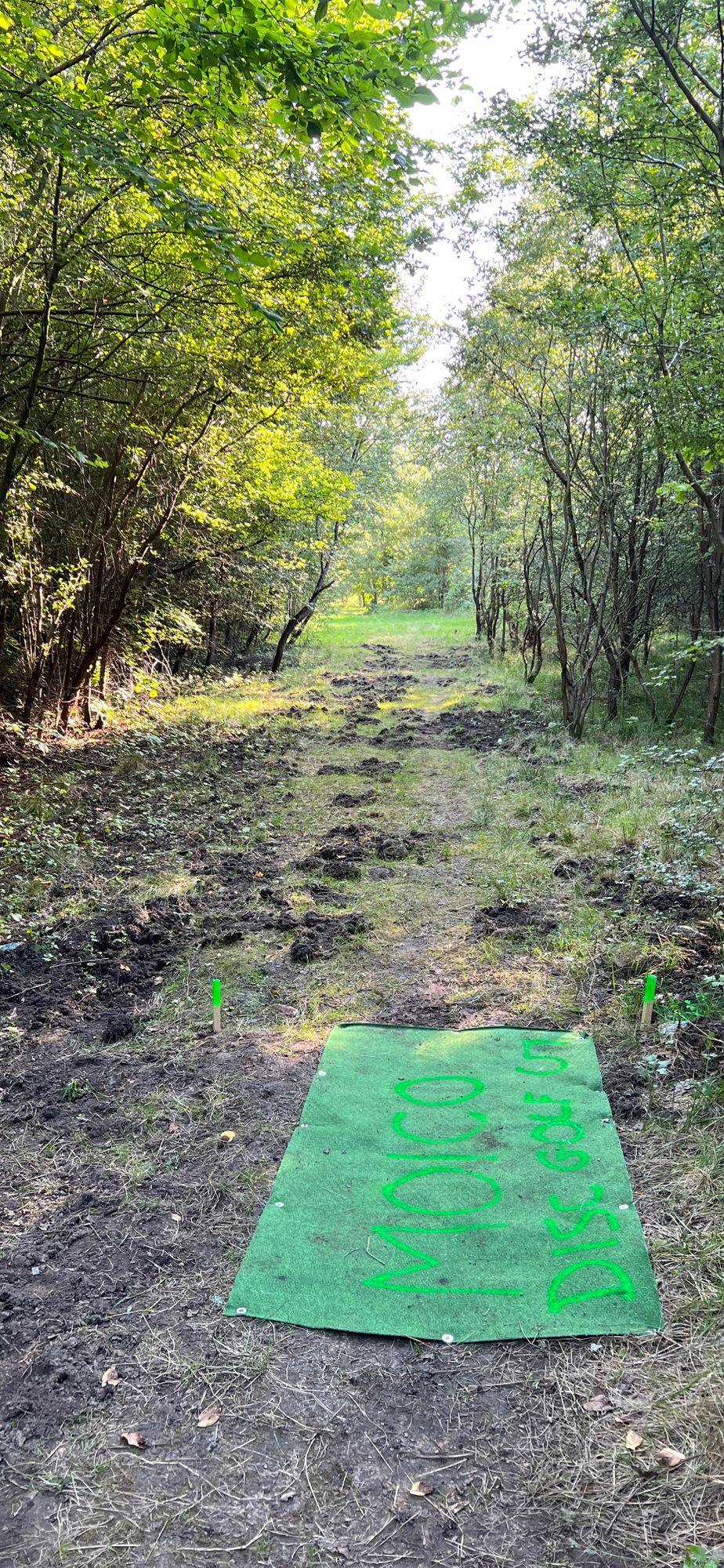 Tee #5 - Par3