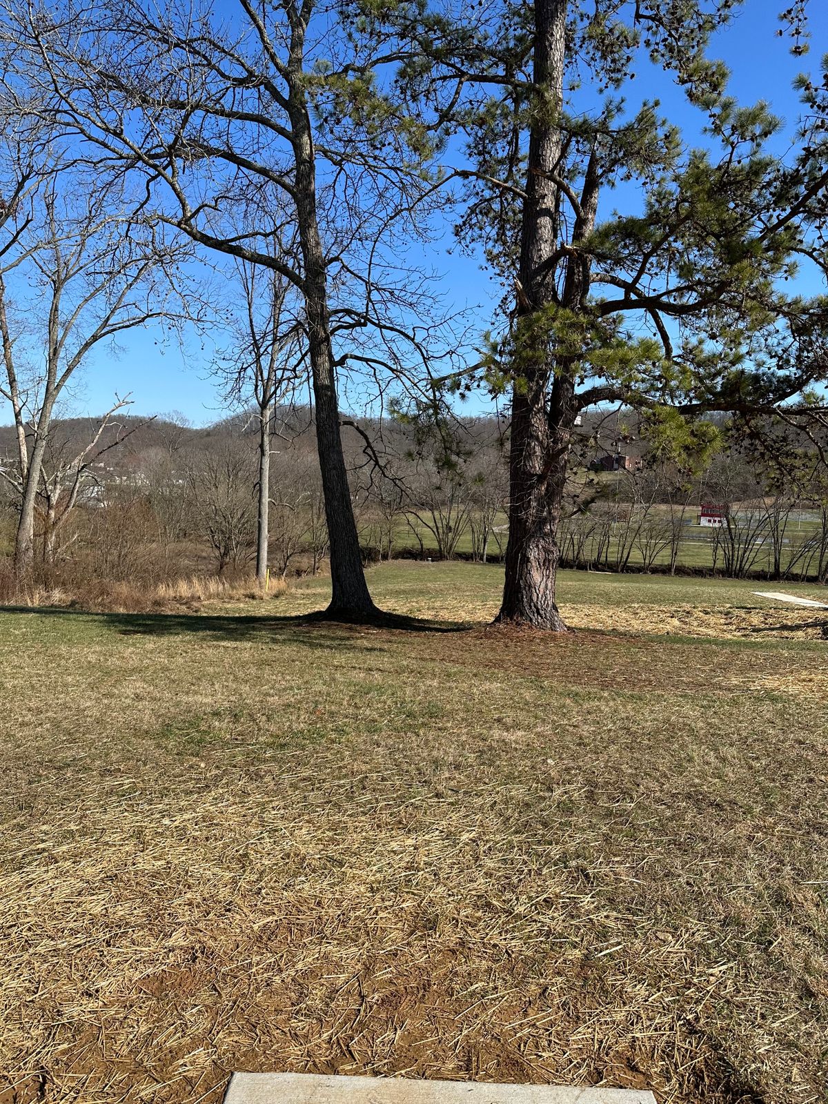Hole 5 (White)