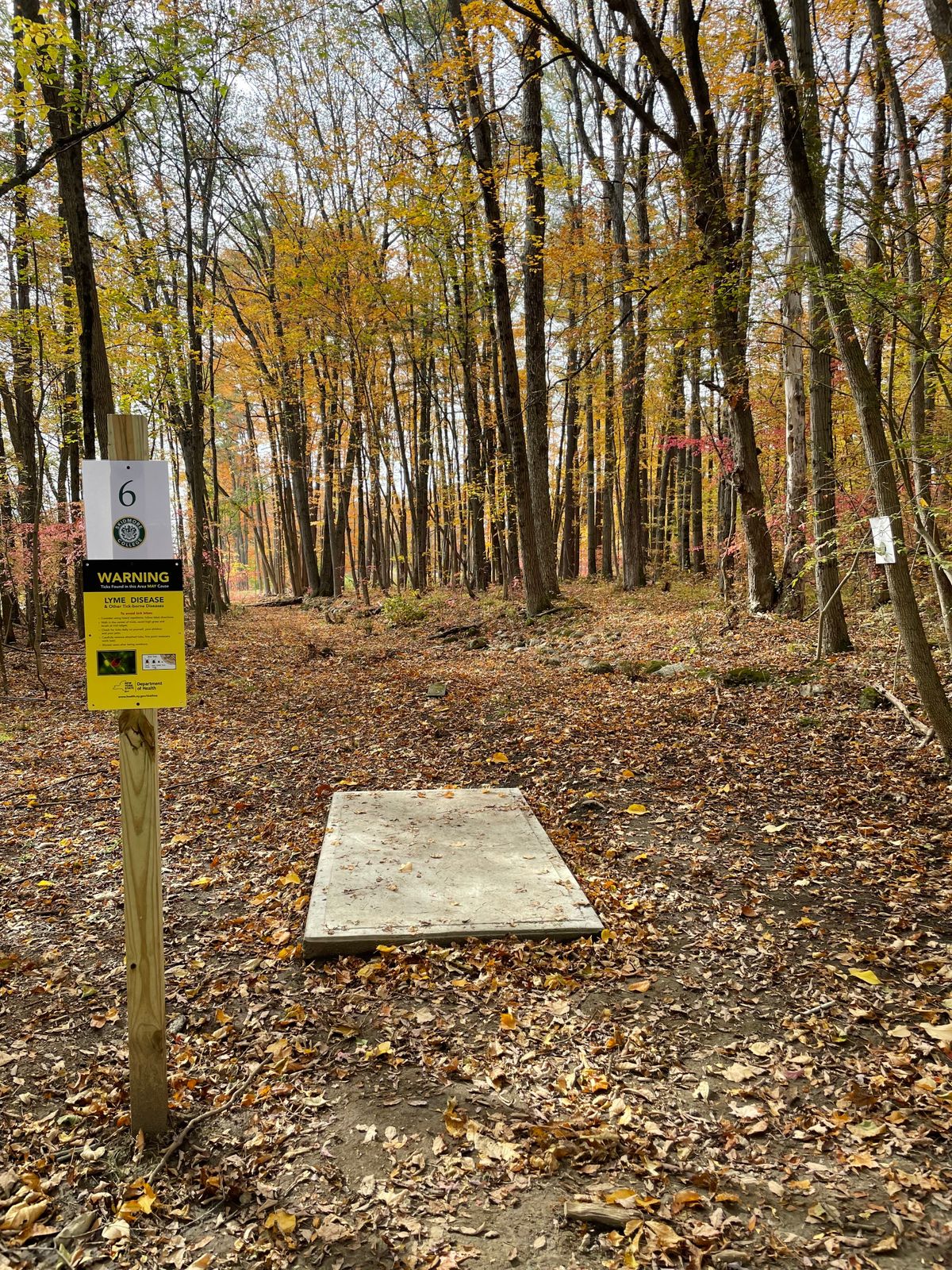 Hole 6 tee