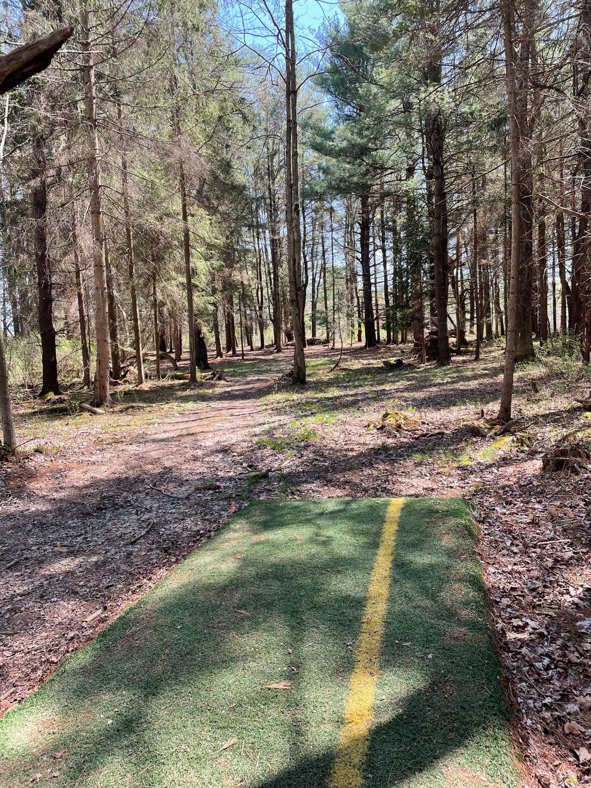 Hole 12, Orange (Short) tee.