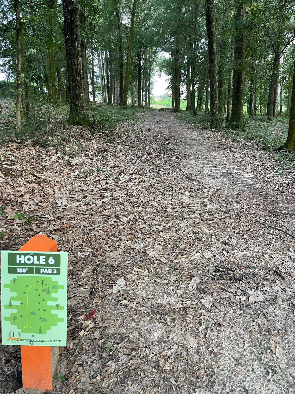 Hole 6