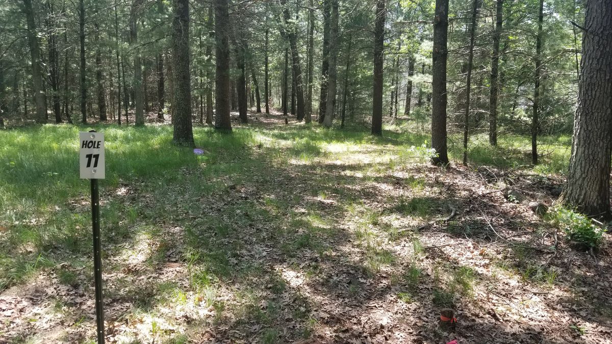 Hole 11.