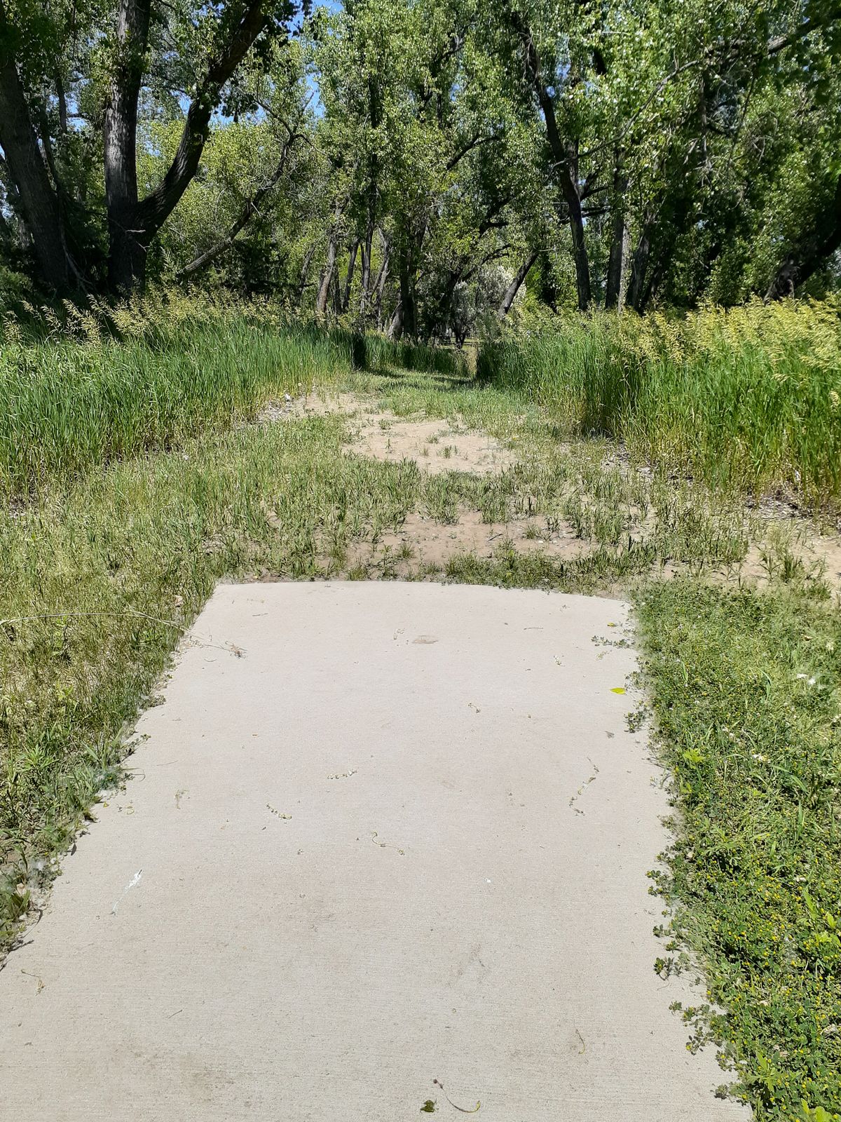 Hole 9