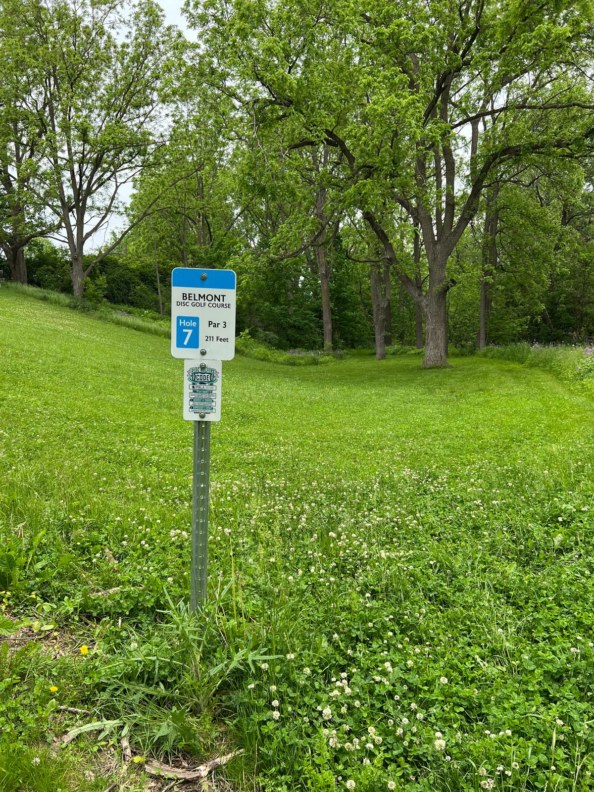 Hole 7 tee