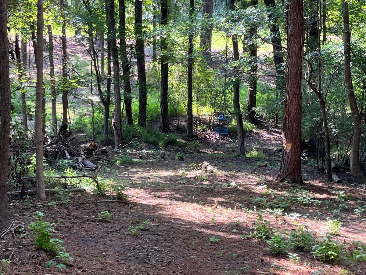Hole 2 basket