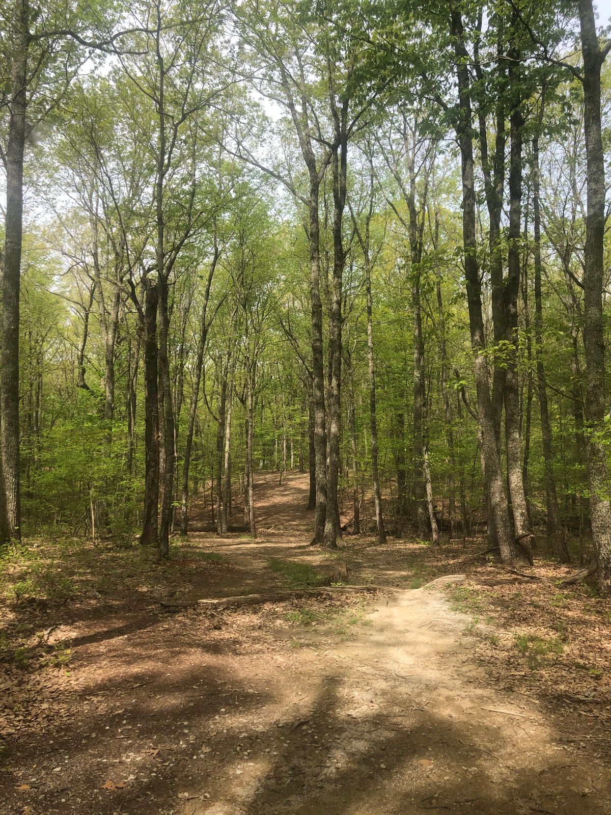 Hole 13