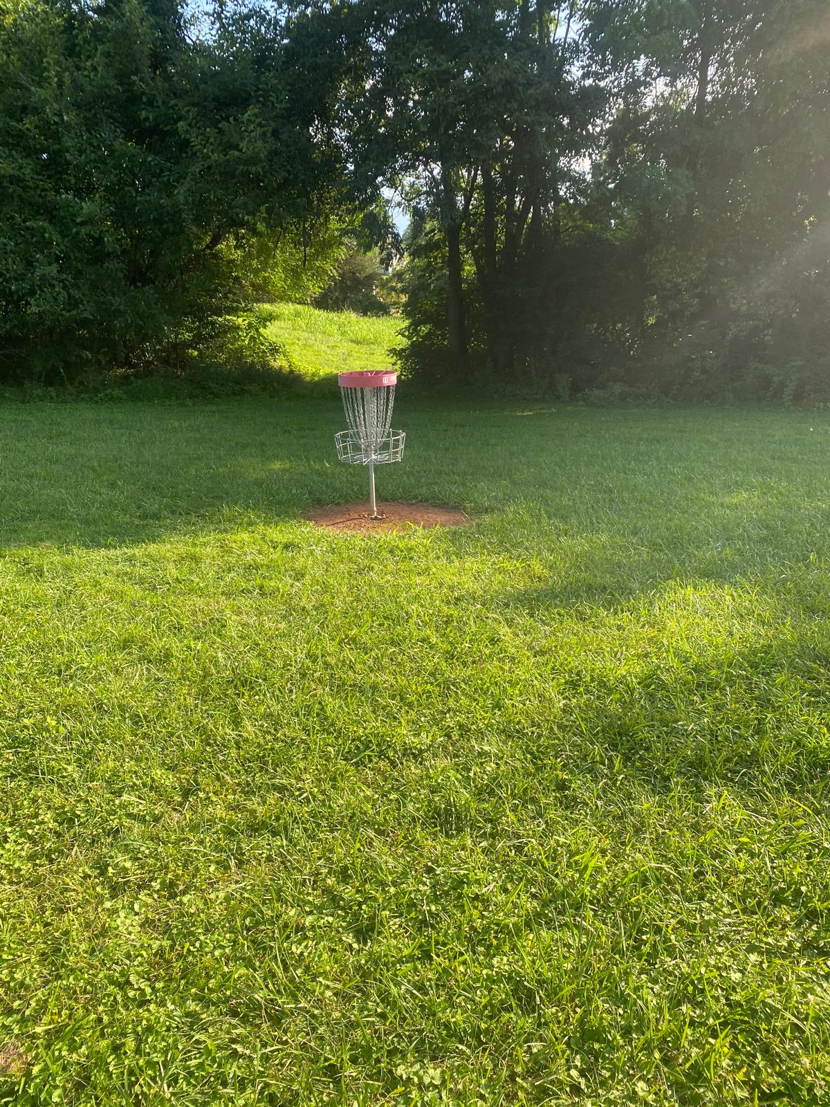 Hole 11 basket