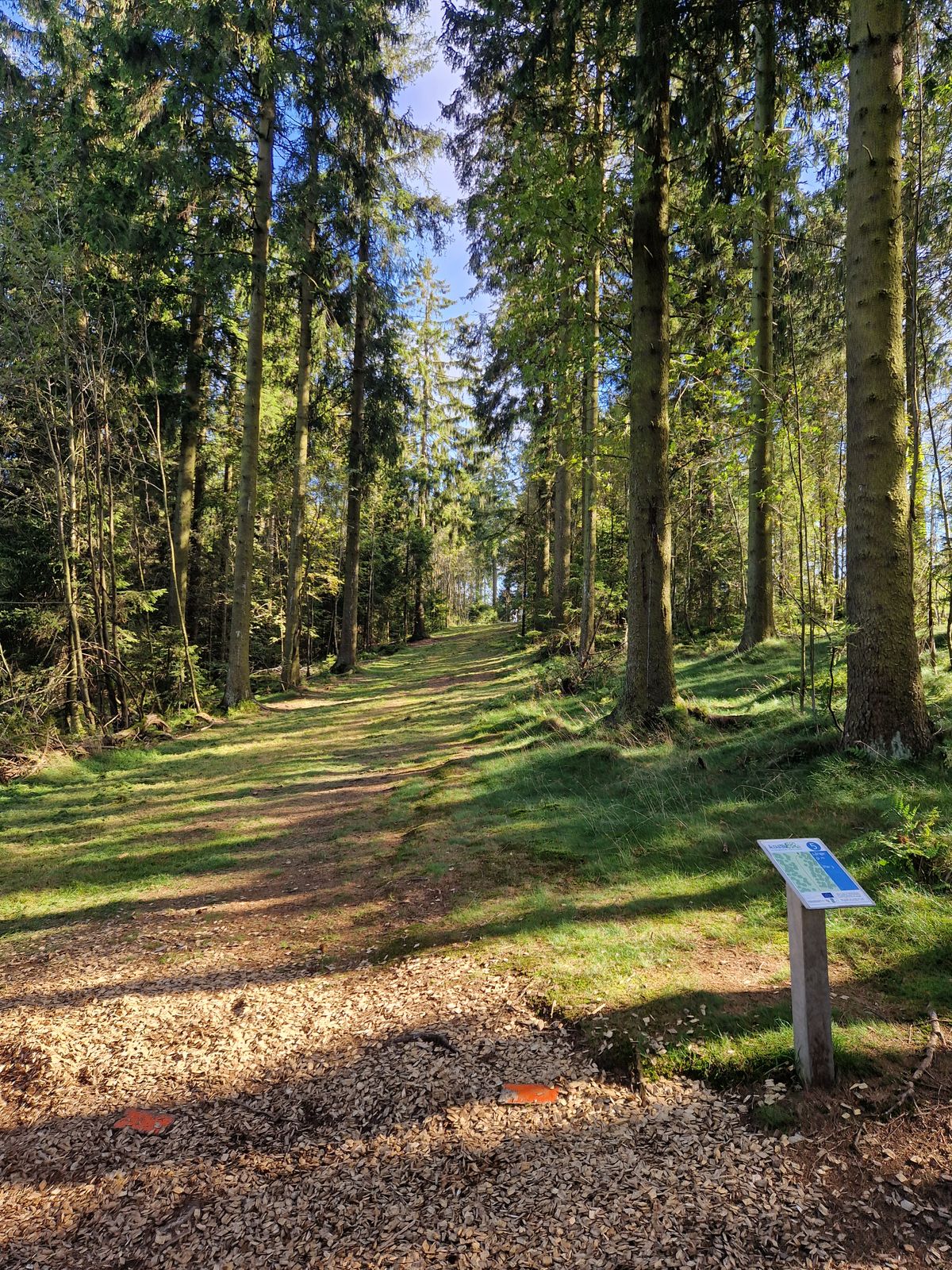 Hole 5