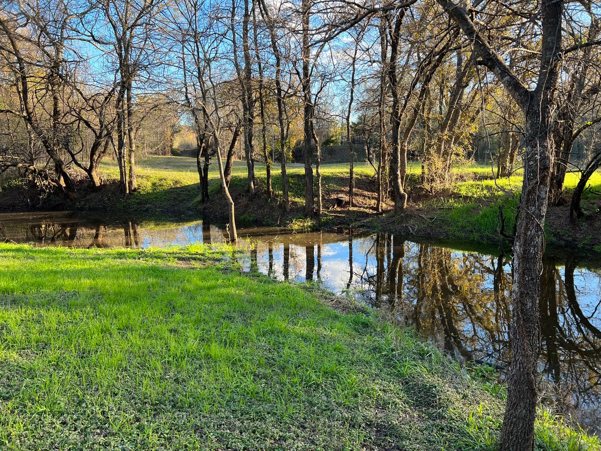Fairway of hole 14