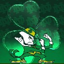 bgooley26