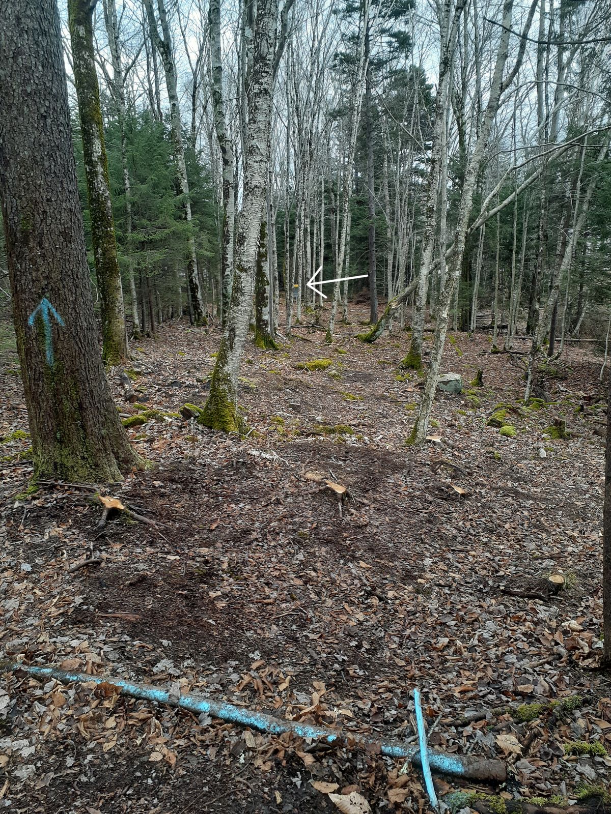 Hole #5
