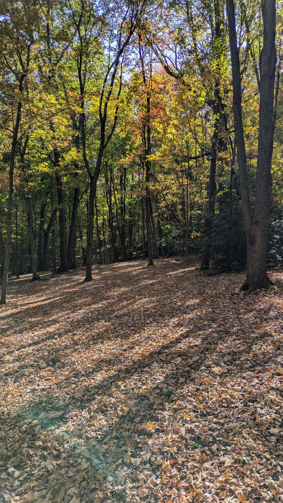 #10 Fairway