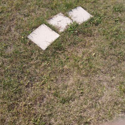 Typical tee pad