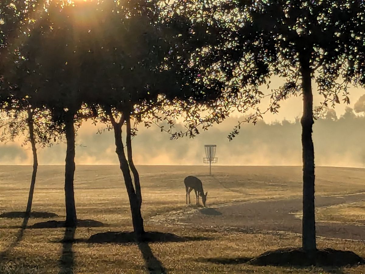 Roadway view of #8 long basket.