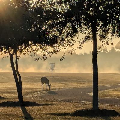 Roadway view of #8 long basket.