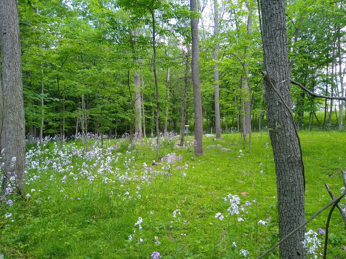 Hole #1 - late May