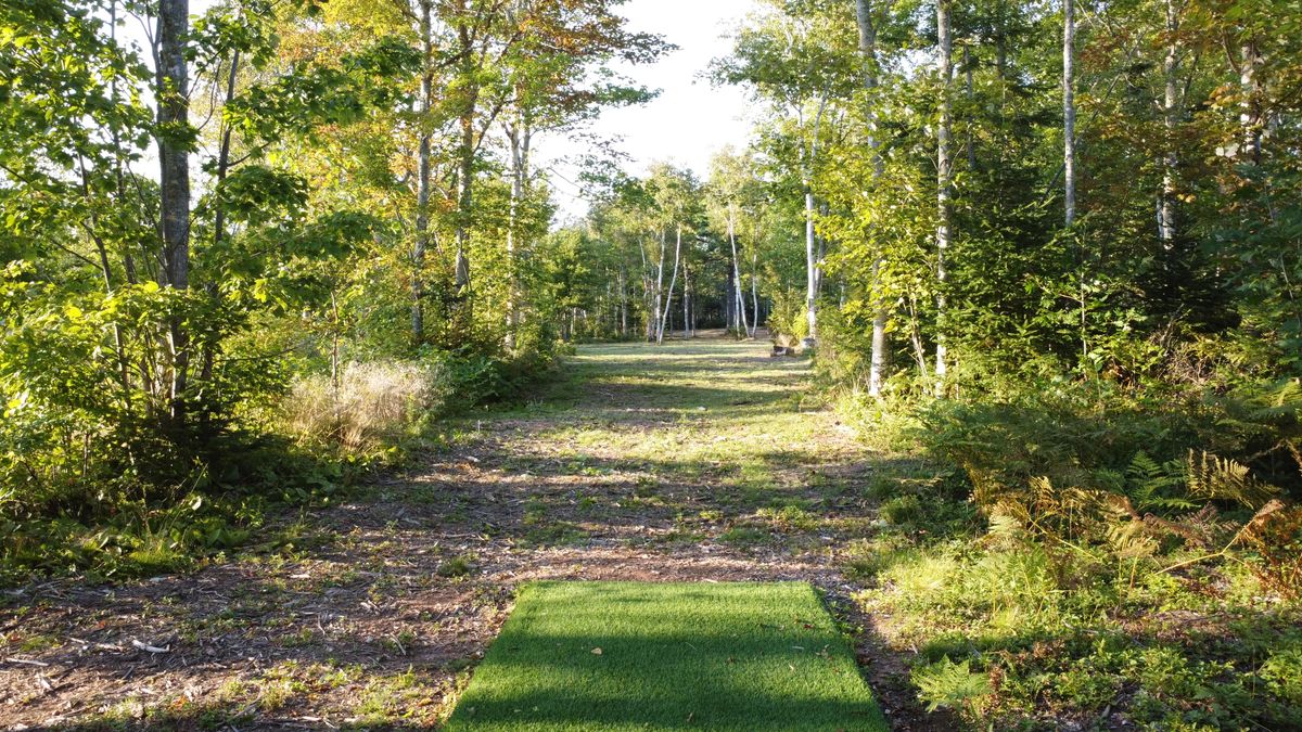 Hole 5 - blue tee.