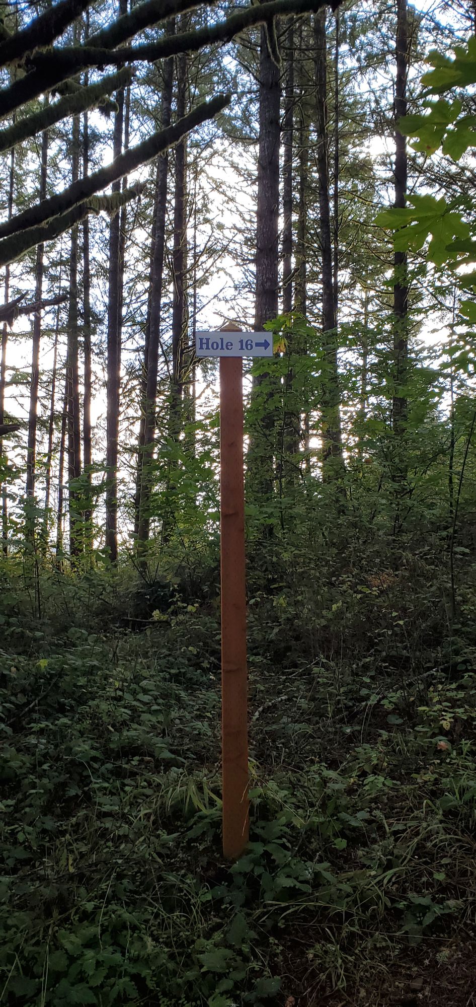 New signage makes following the layout really straightforward