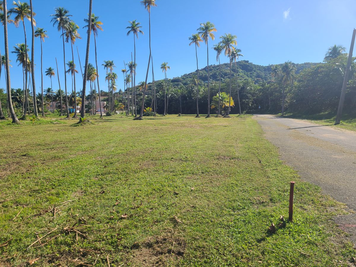 Hole 15, par 4