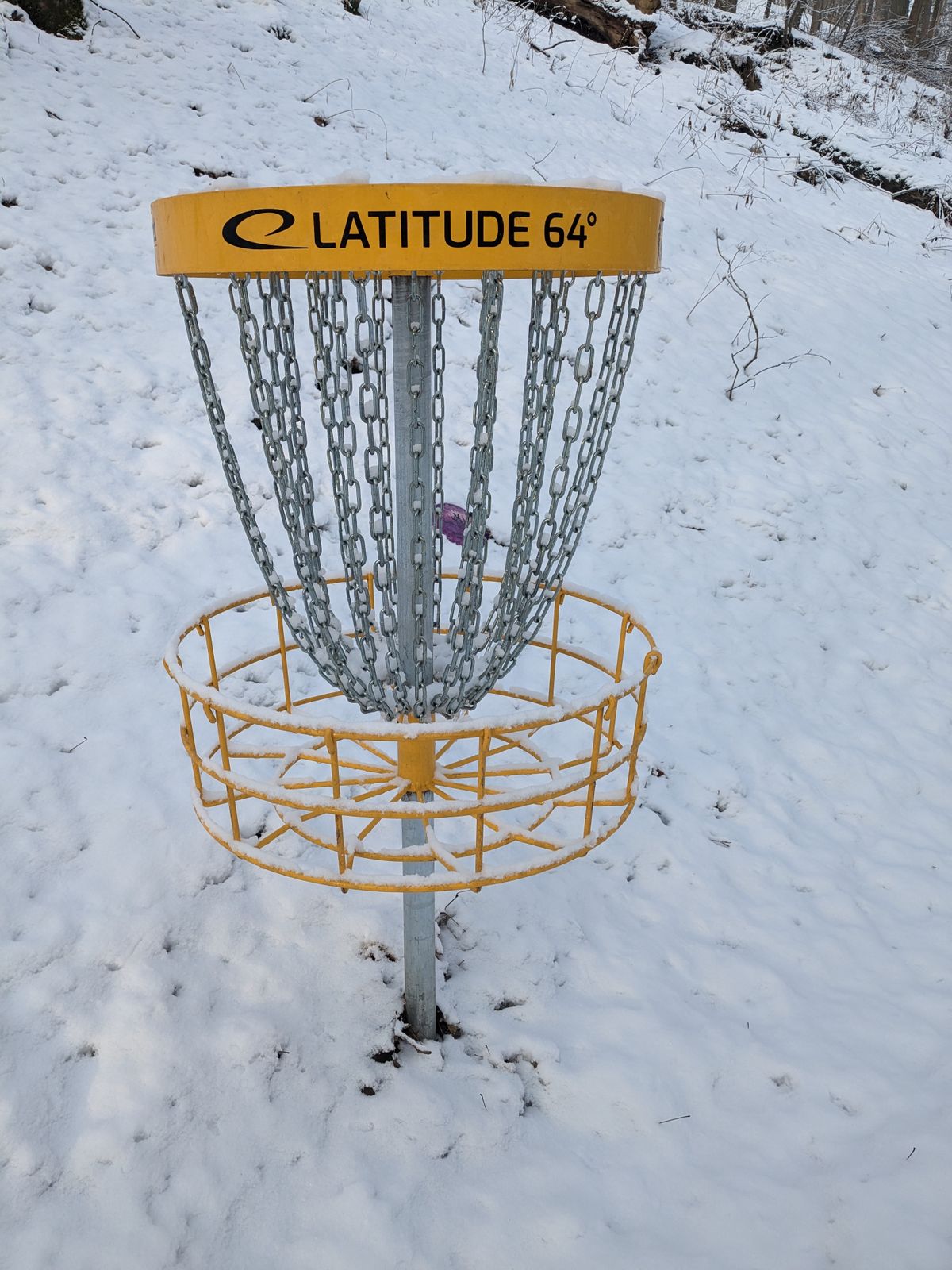 Hole 2/11's basket