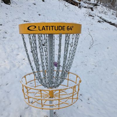 Hole 2/11's basket