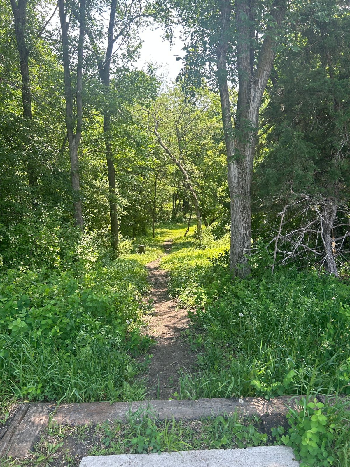 Hole 5