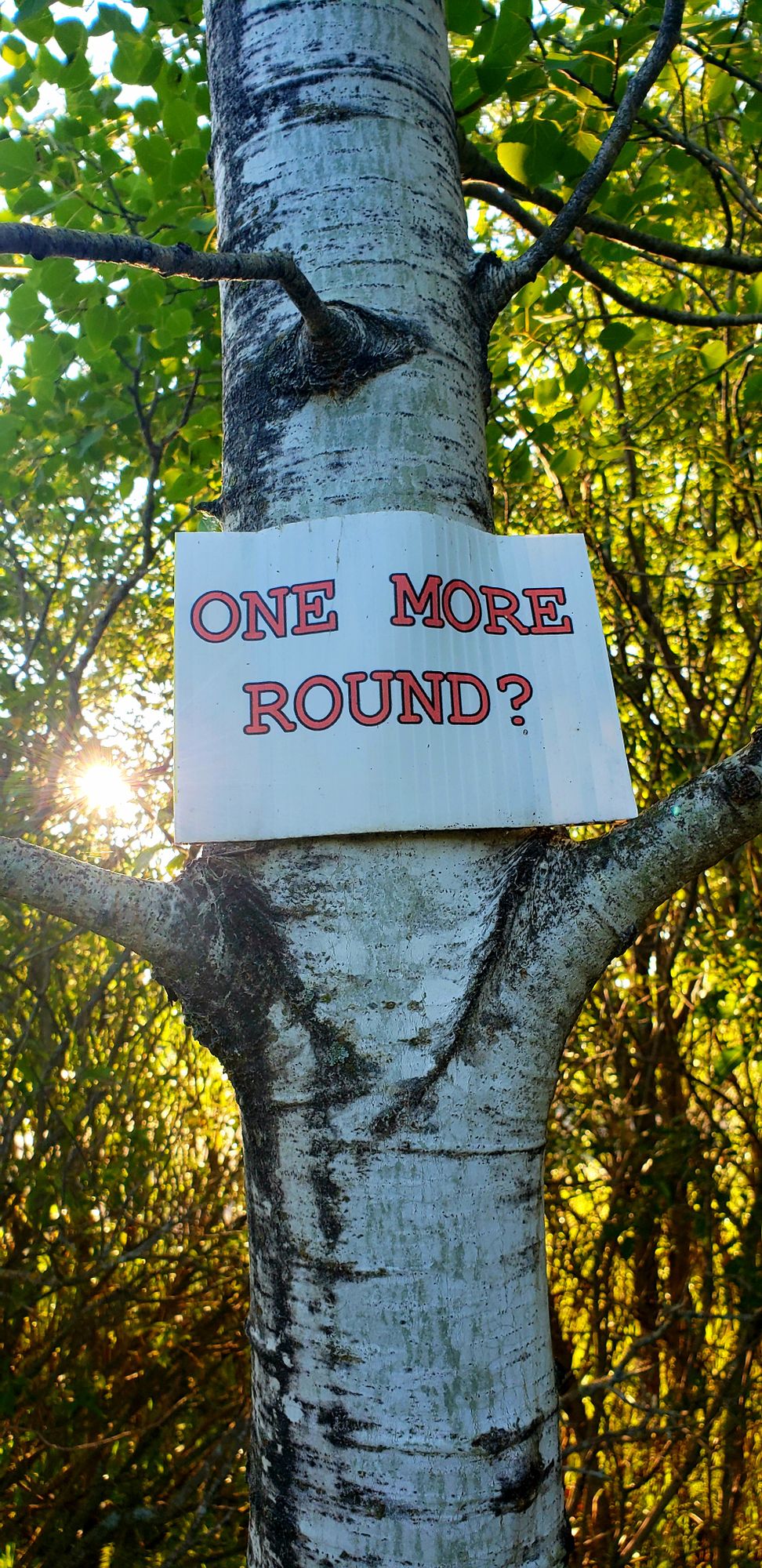 When you need a sign from the disc gods to persuade you to play another round
