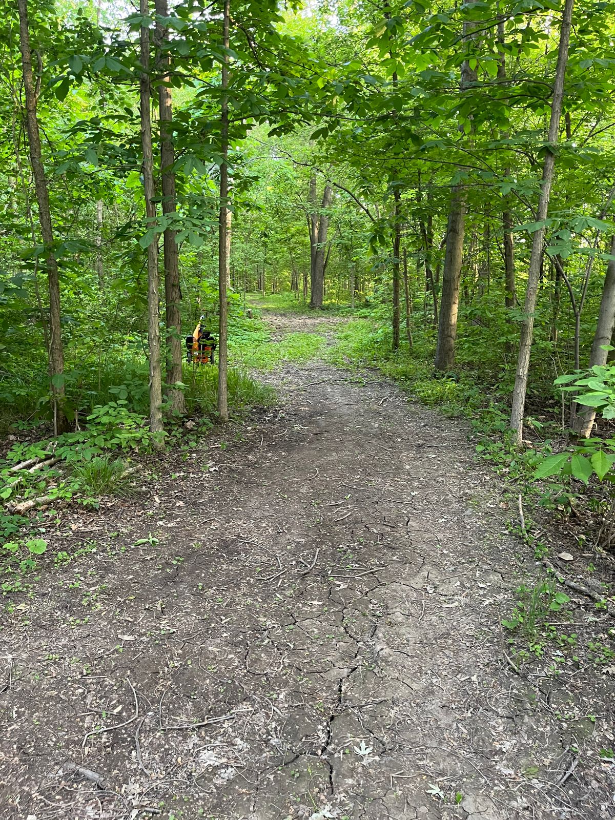 Hole 6
