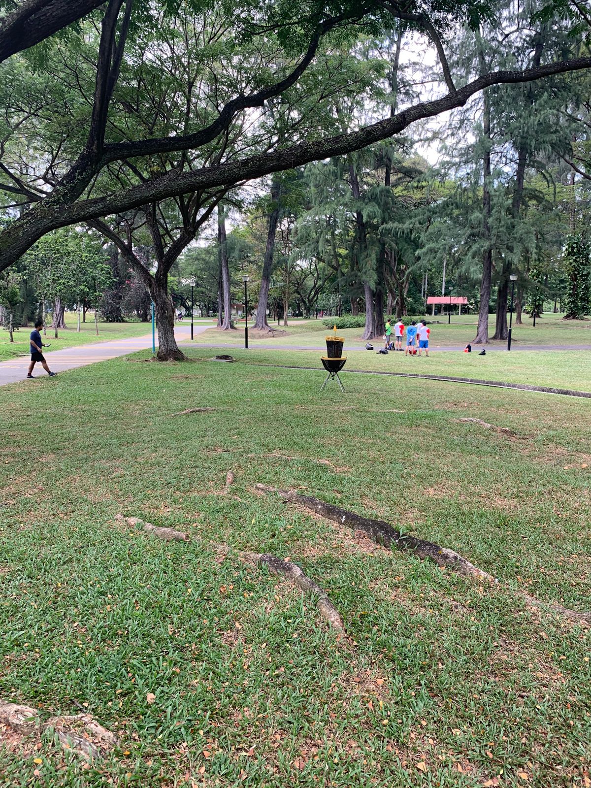 Hole 6 Basket