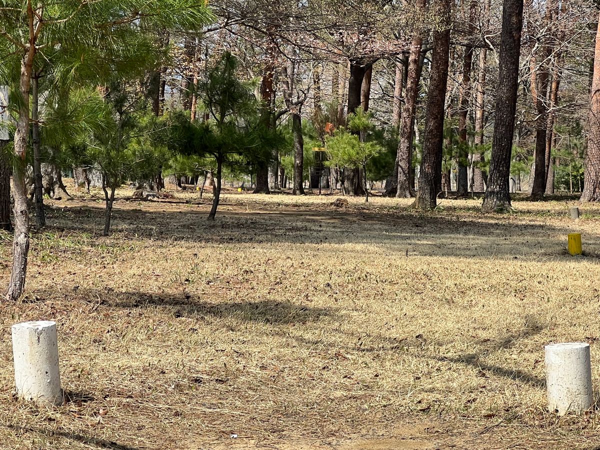 Hole two’s basket is in a pocket of trees.
