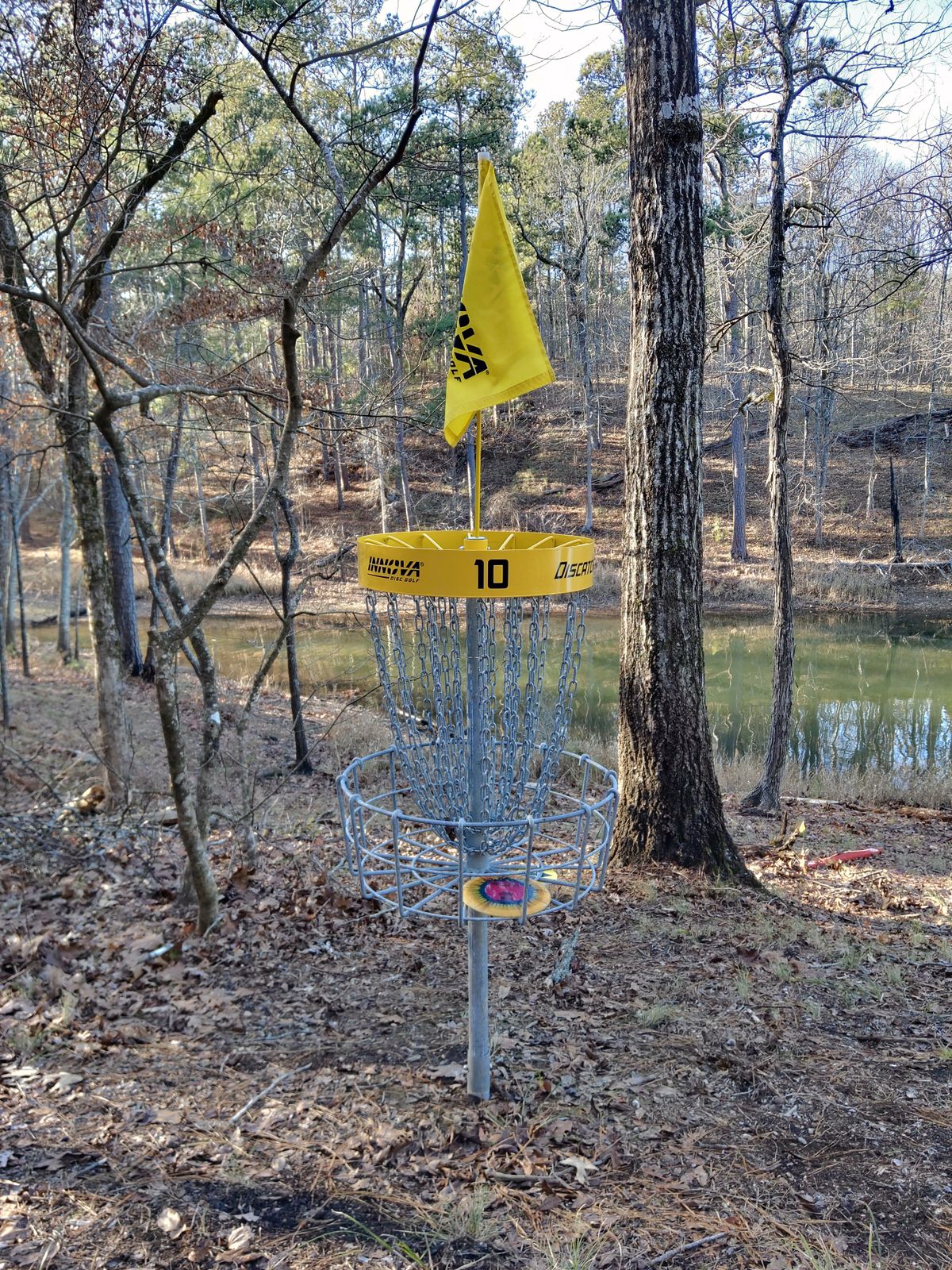 Basket 10 on Clark Hill Lake