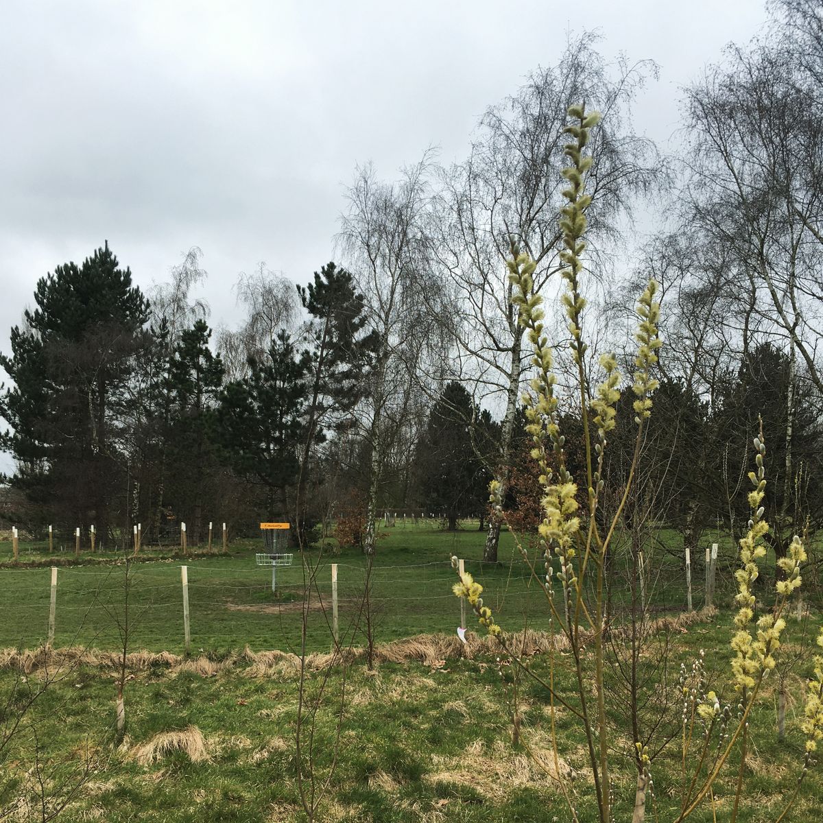 The 11th green framed between the fenced OB in early spring.