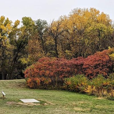 fairway and white tee