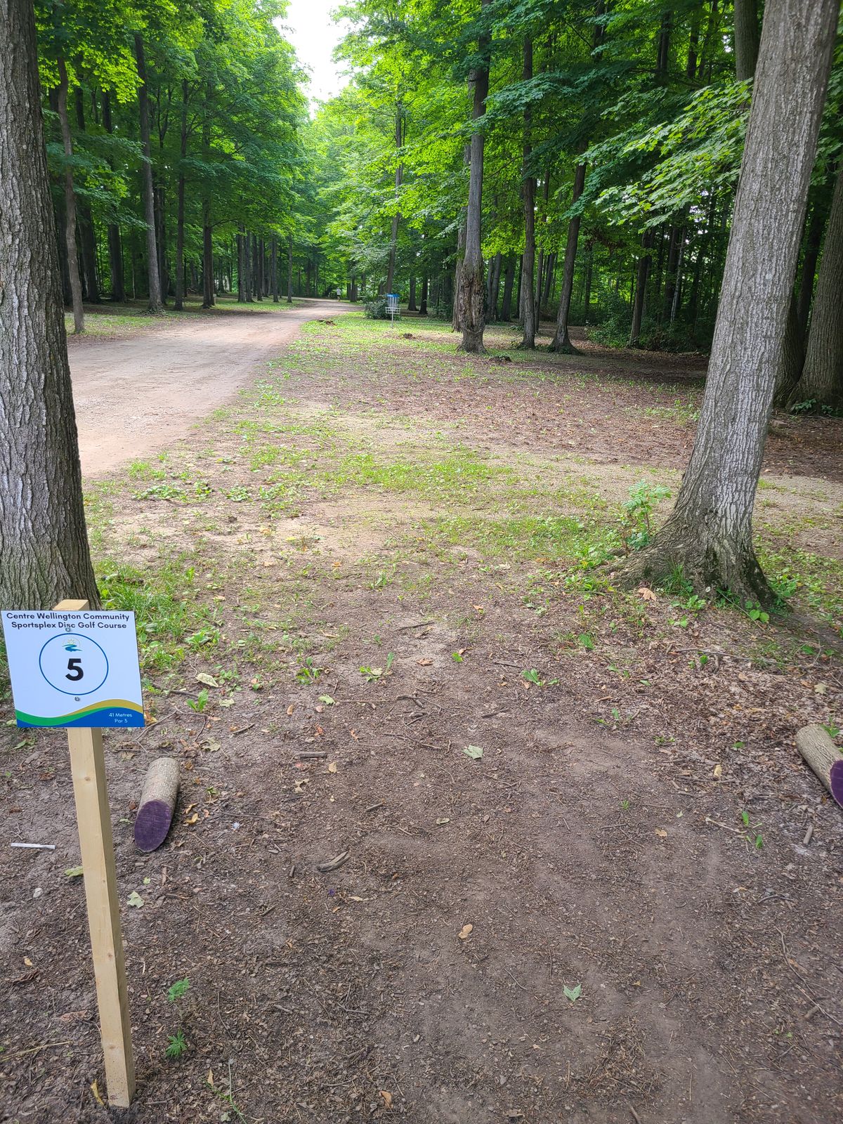 Tee off and Hole #5