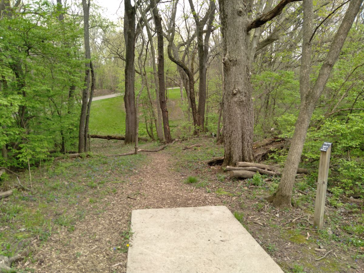 Hole 9