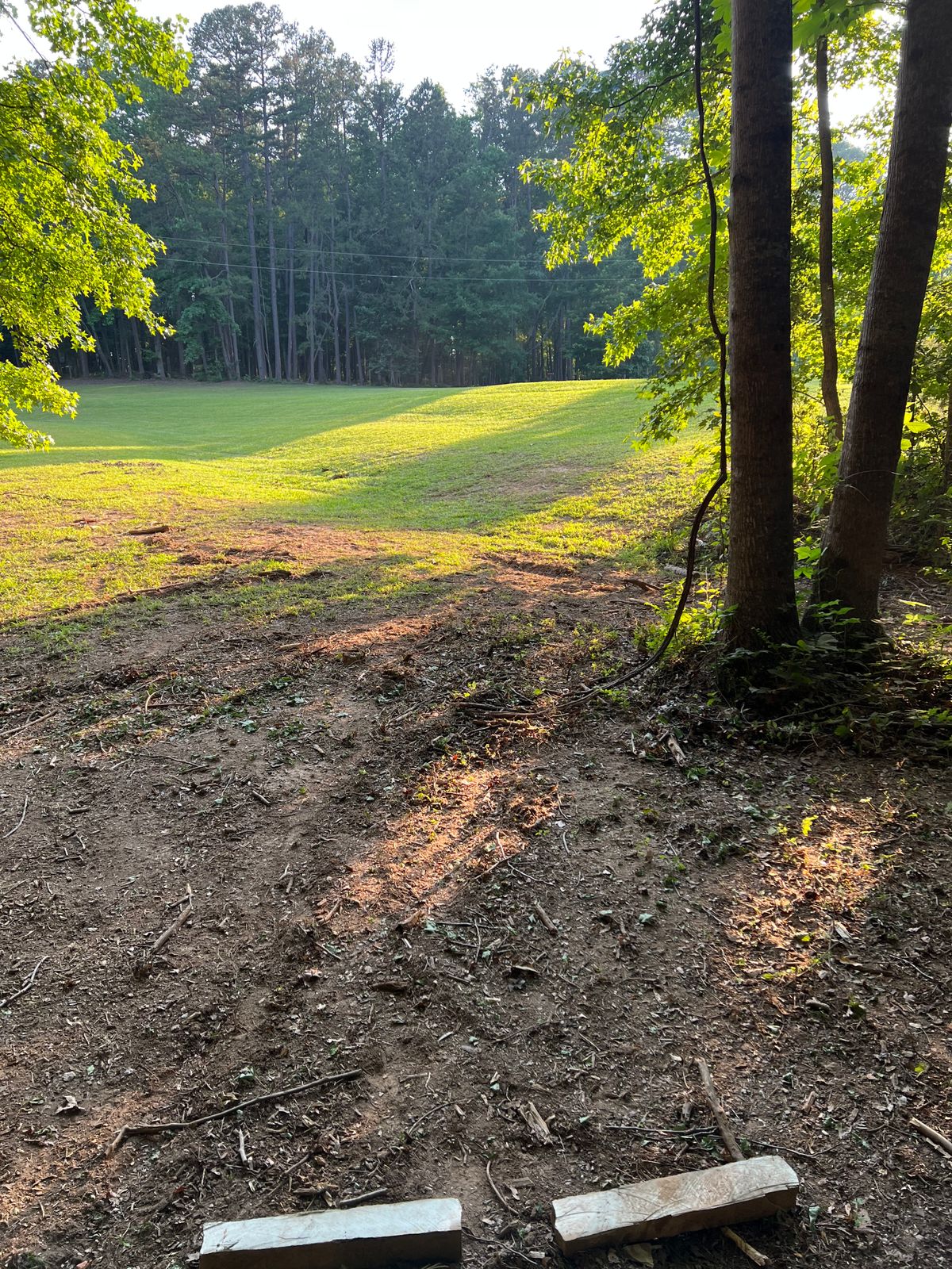 #15  view off the tee