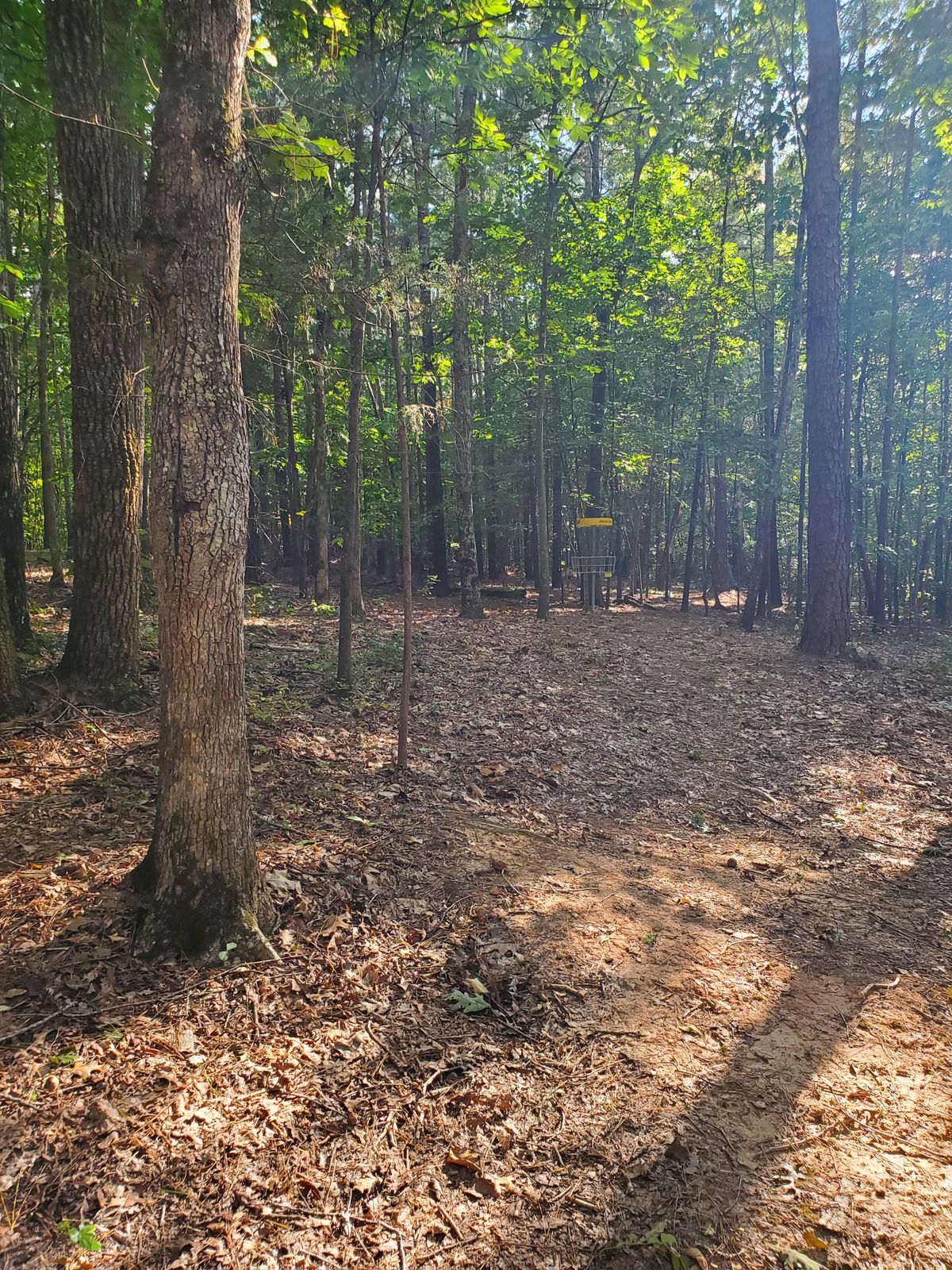 Hole 4 approach
