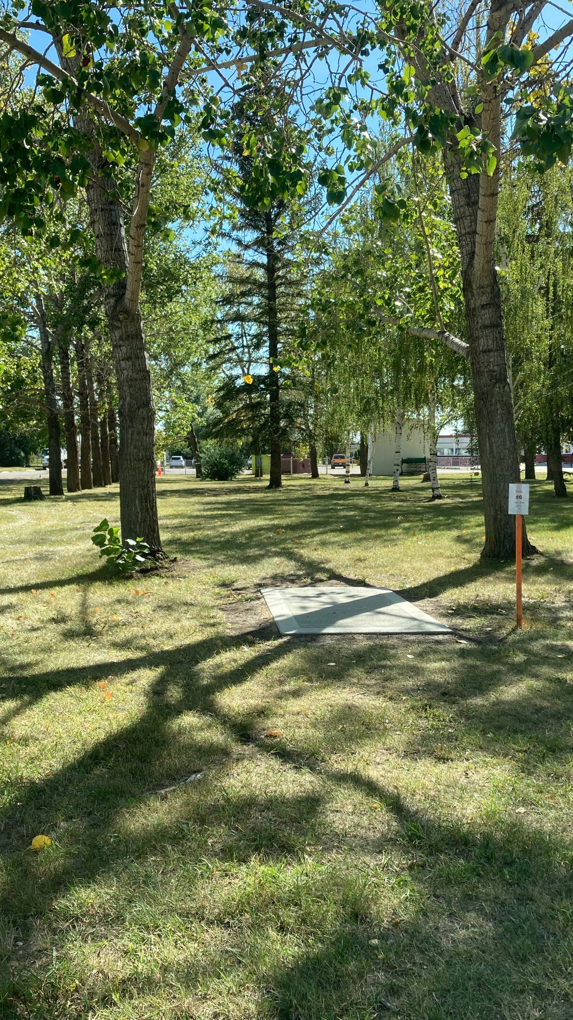 Hole #6