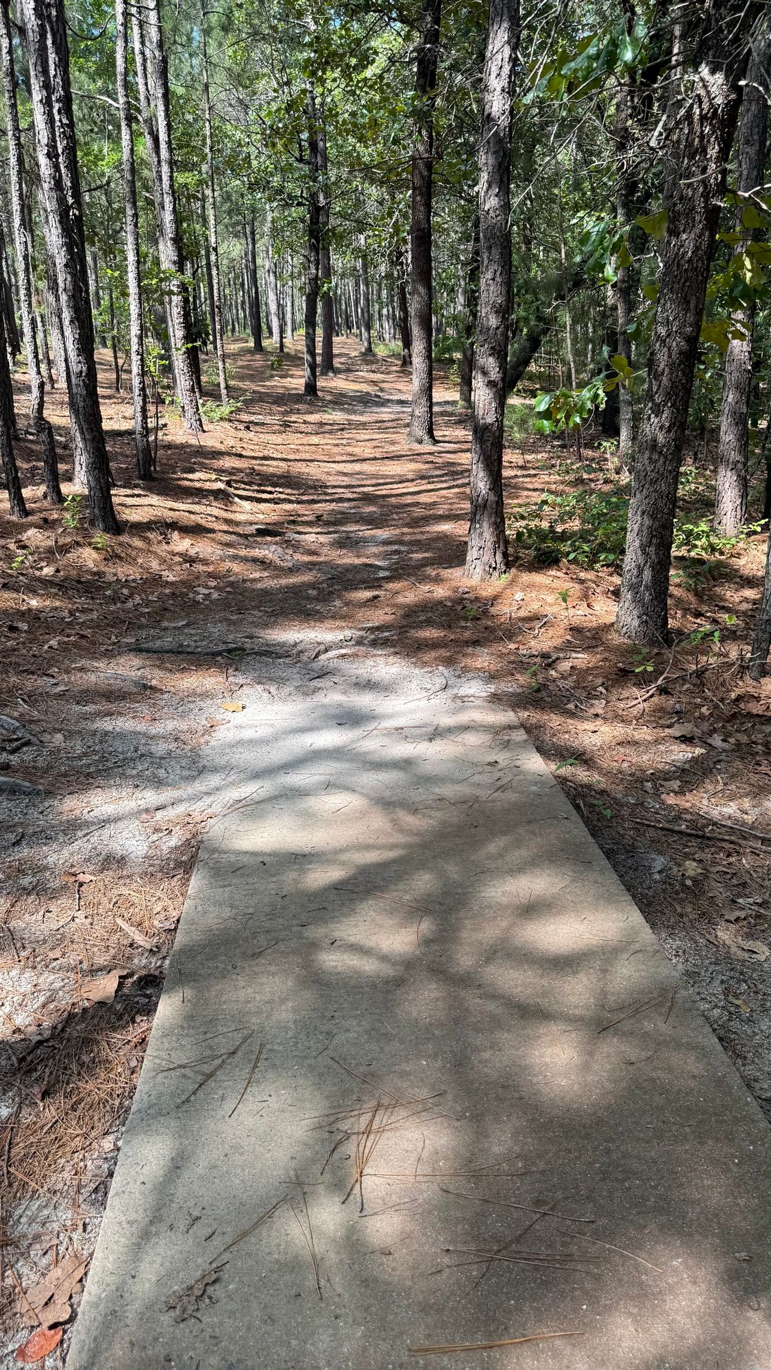 Hole 15 Tee Pad
