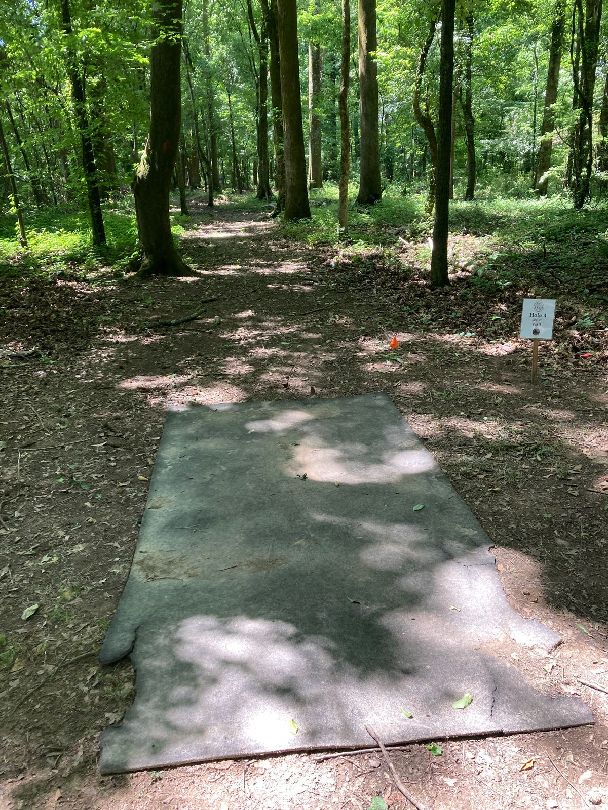 Hole#4