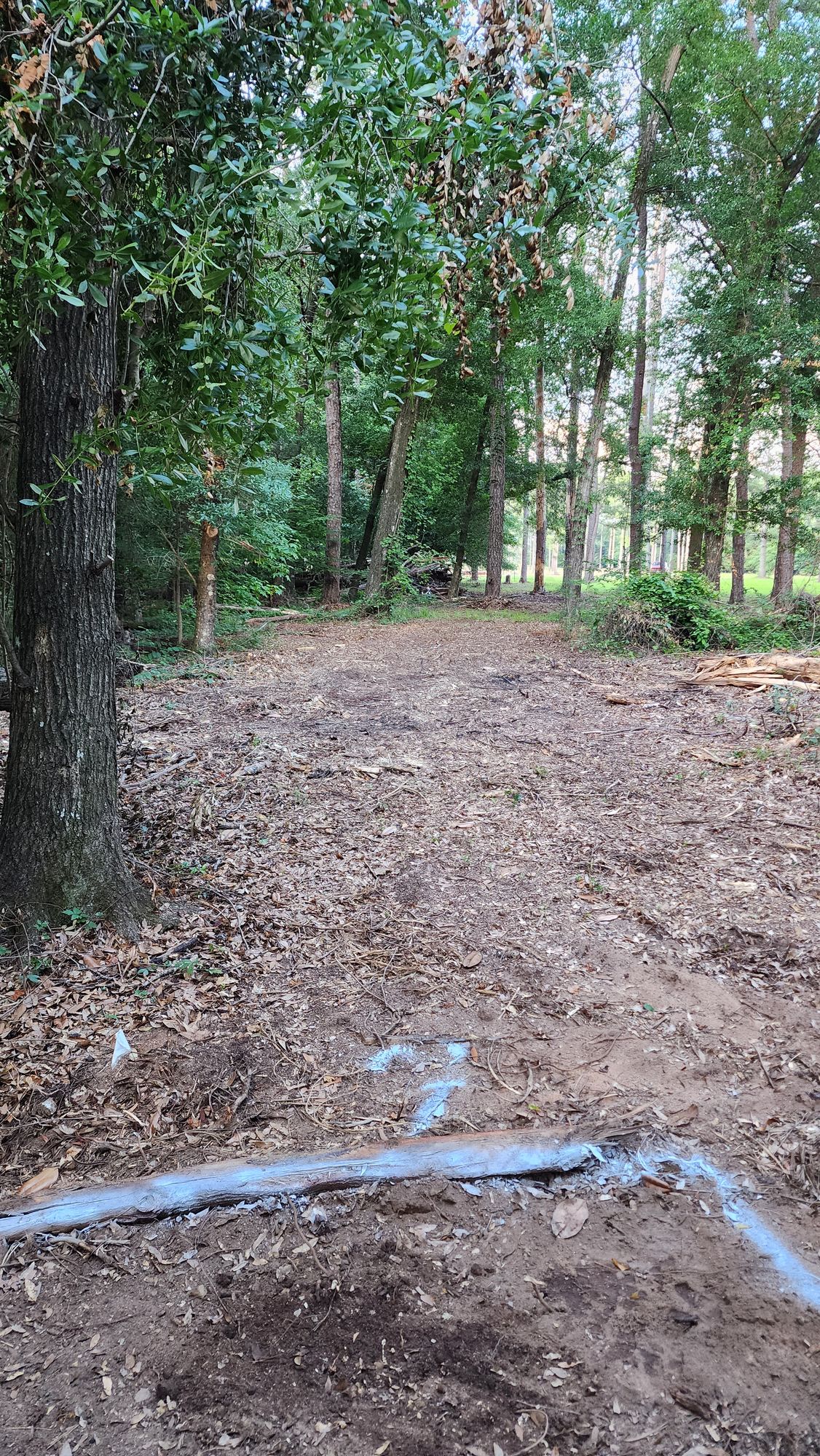 Hole 7 262'