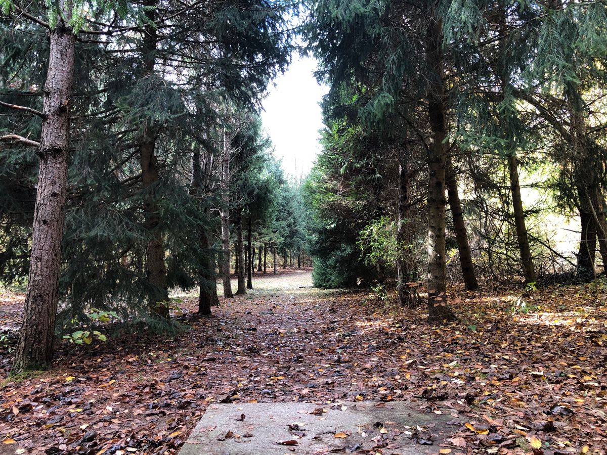 Hole 15 long teepad