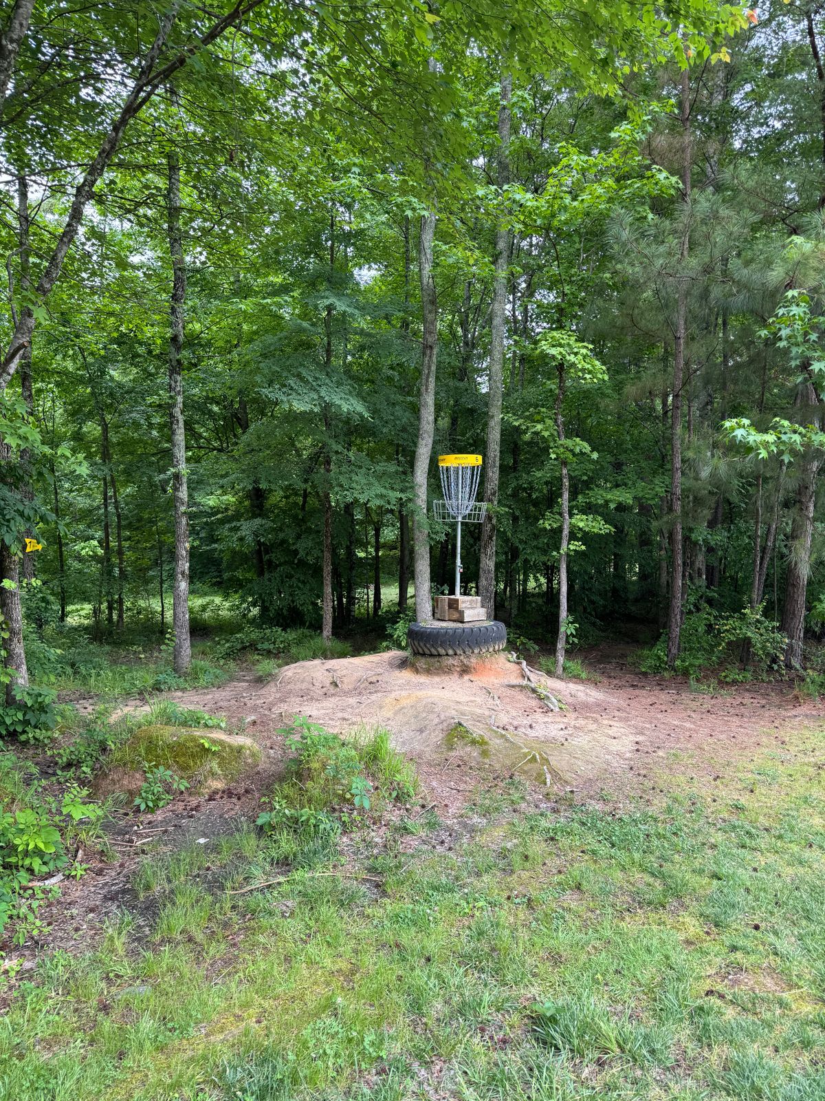Hole 6 green