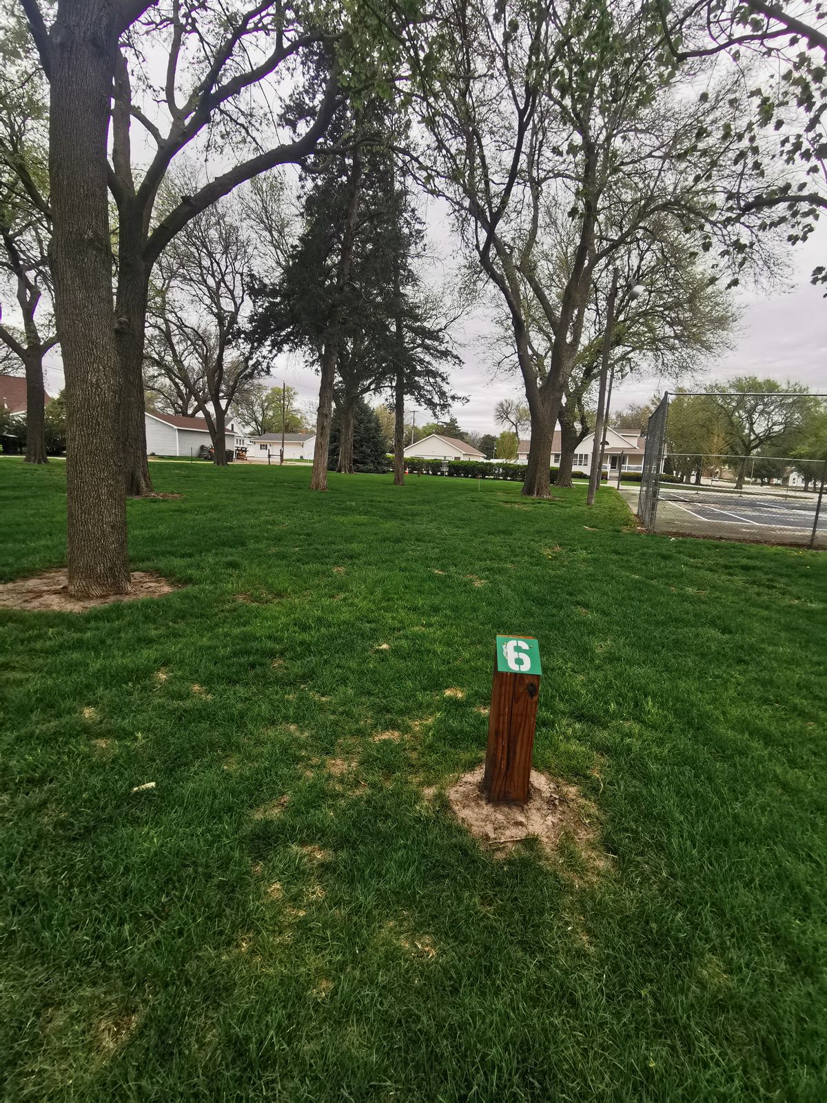 Tee 6