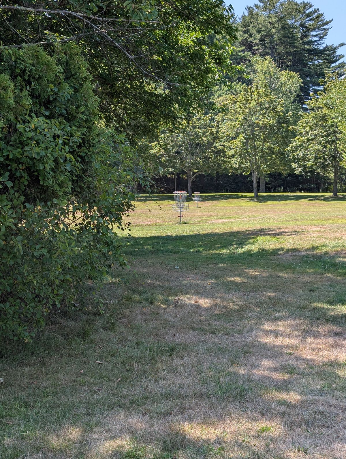 Hole 6 Basket location