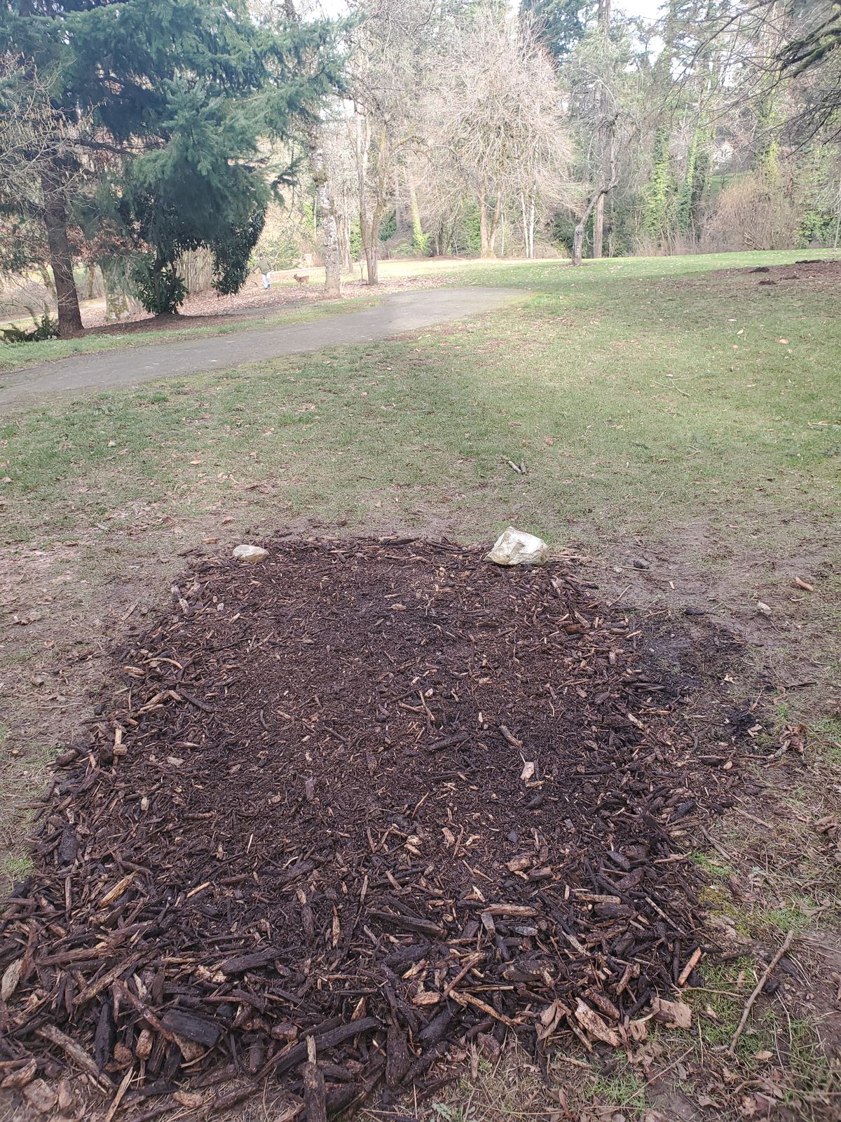 Hole 4 tee.