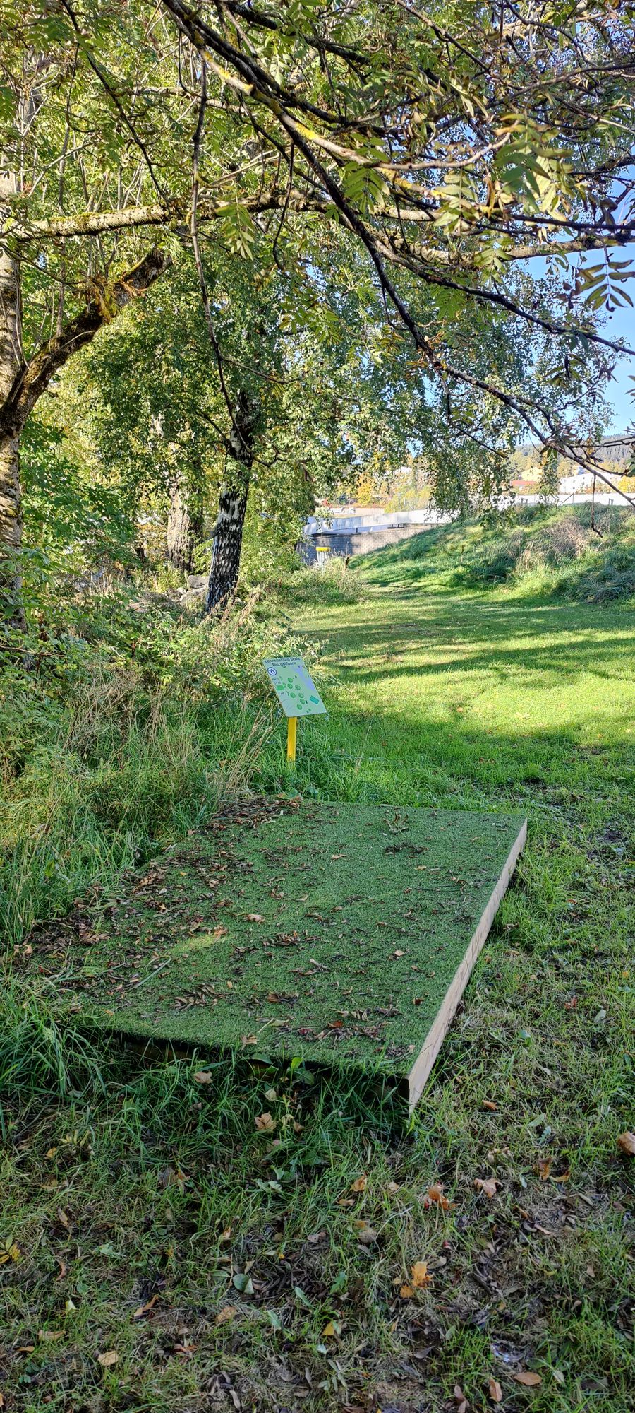 Hole 6, low ceiling and last hole
