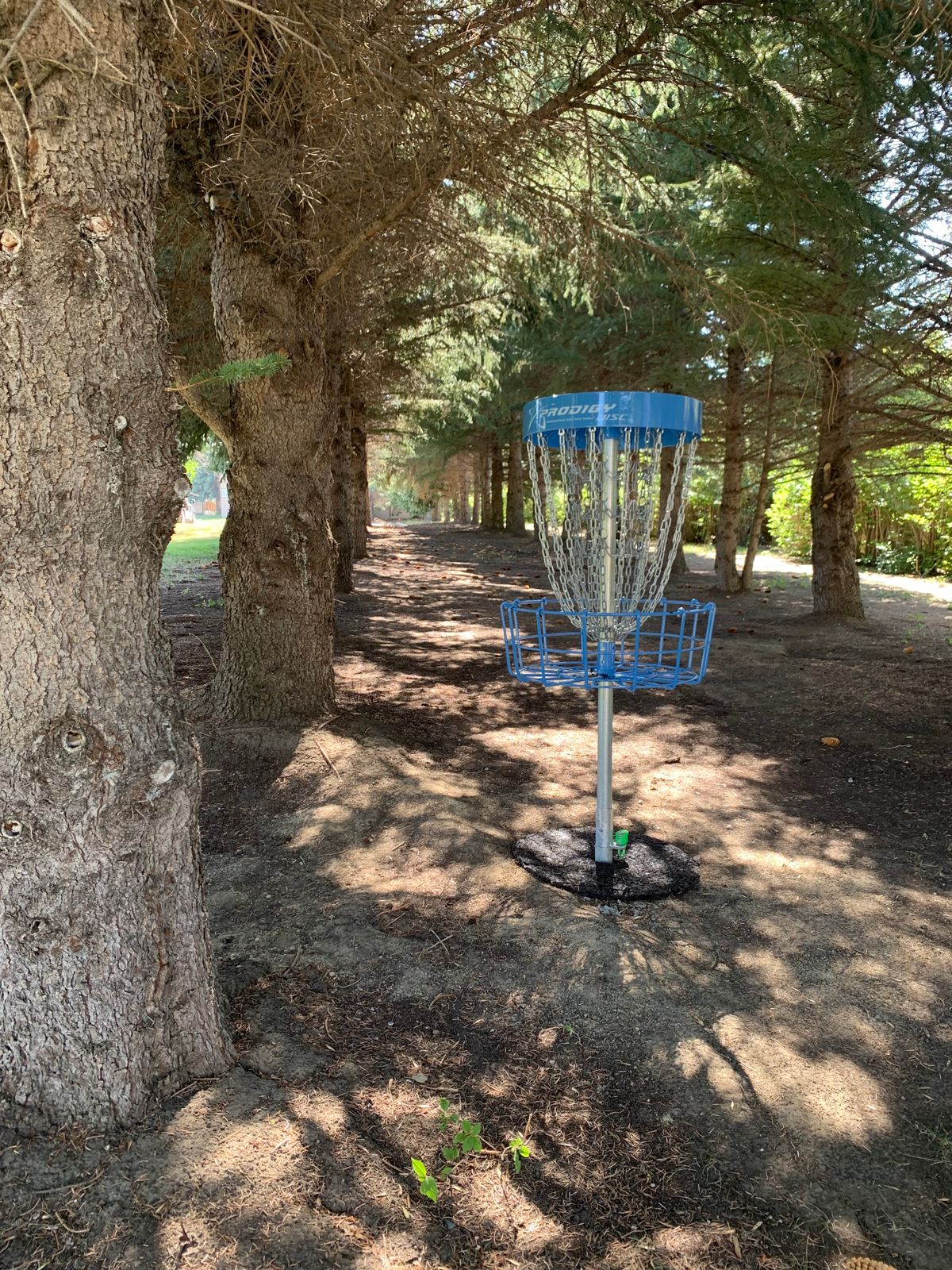 Hole 5 basket