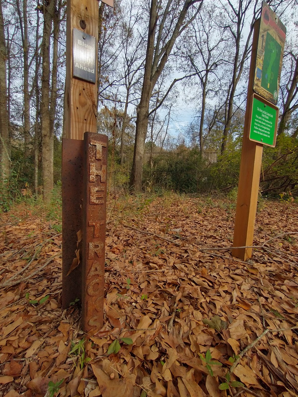 Hole 1 gold tee